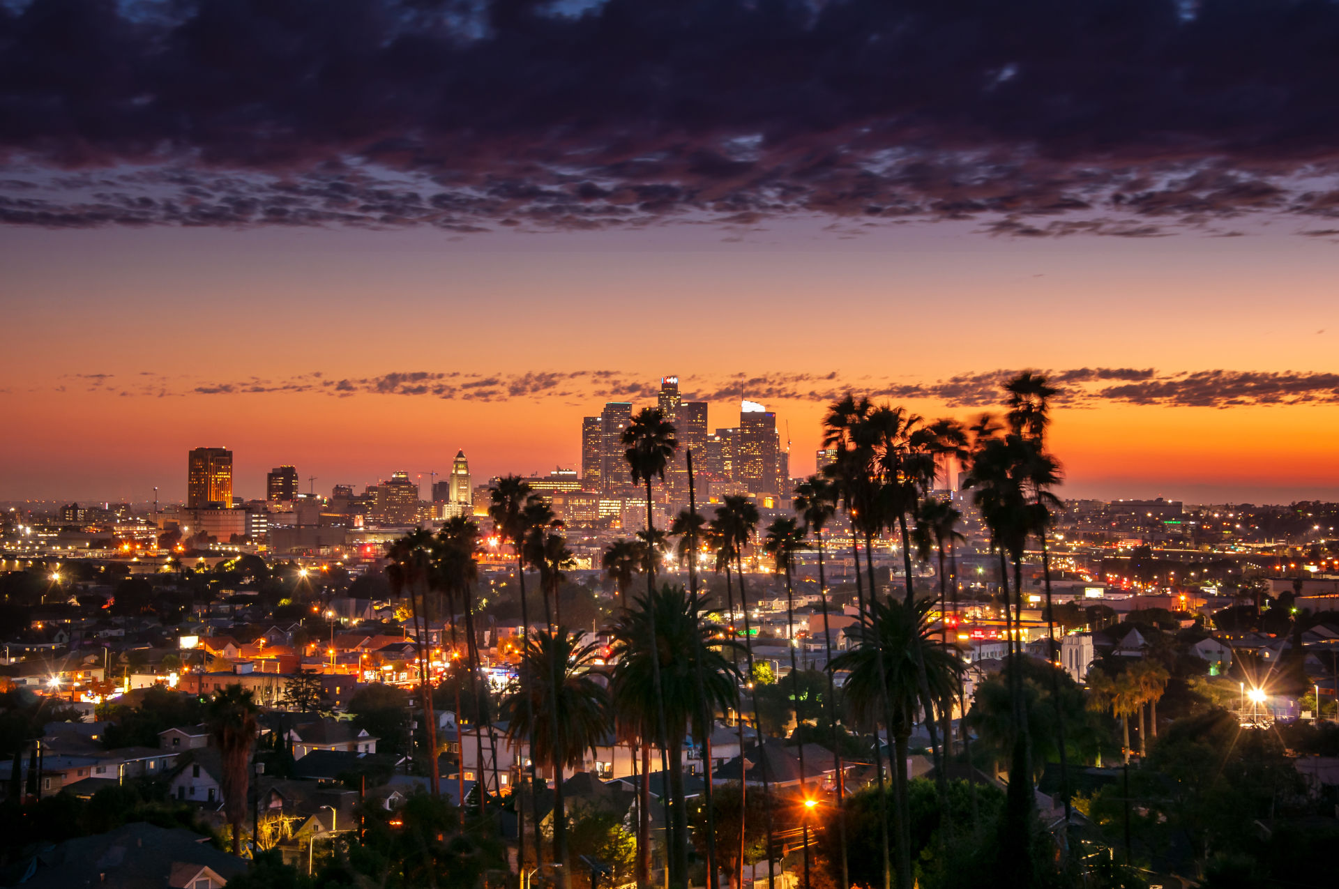 Los Angeles Cityscape Through Palm Trees At Sunset